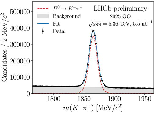 LHCb-ion run -1