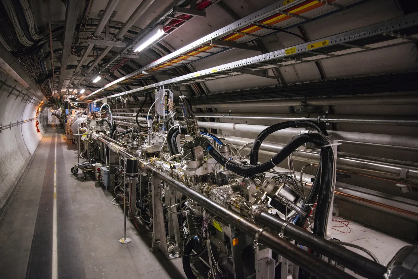 TOTEM collaboration prepares to explore new territories in forward physics