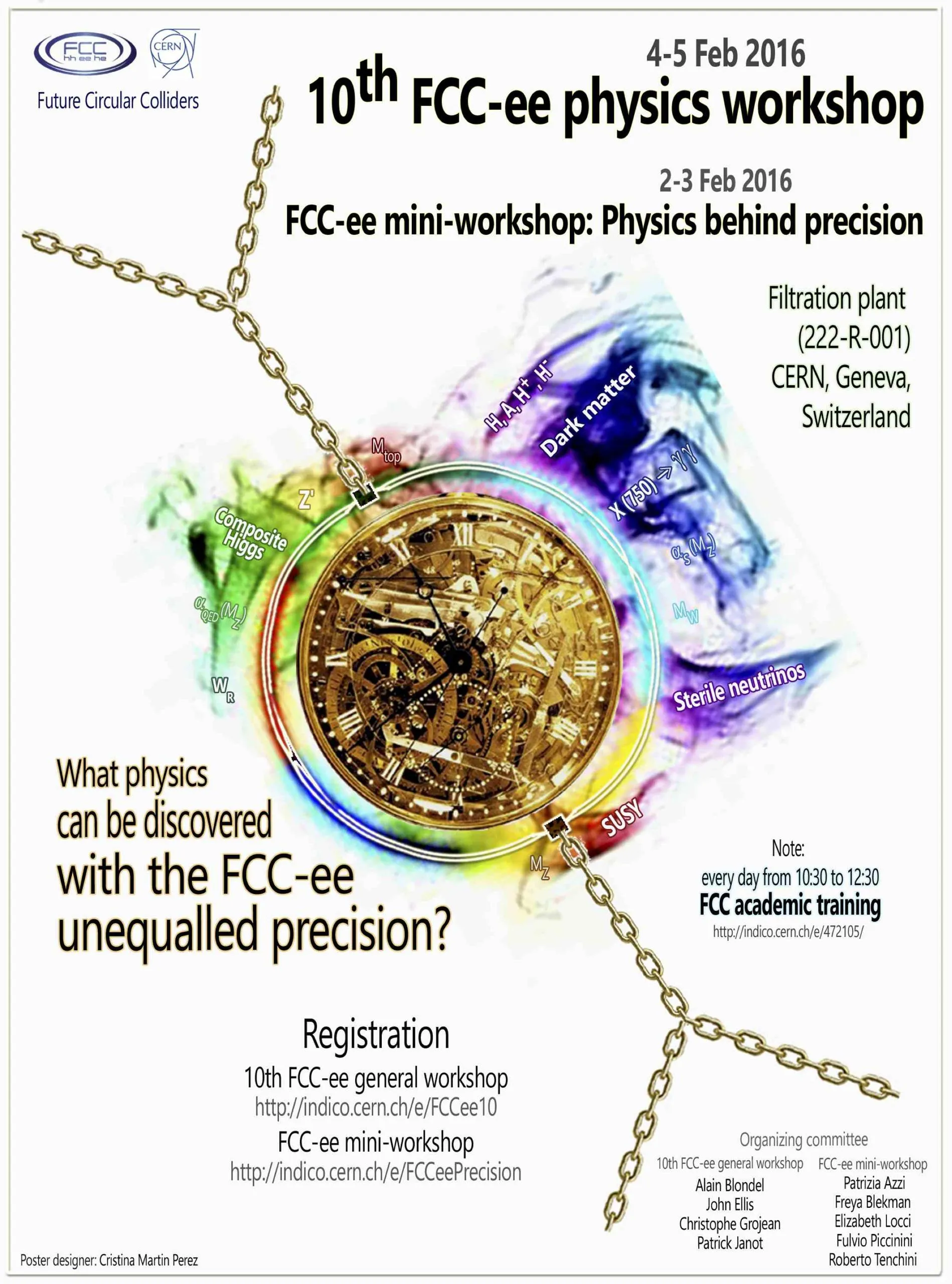 FCC-ee physics workshops at CERN