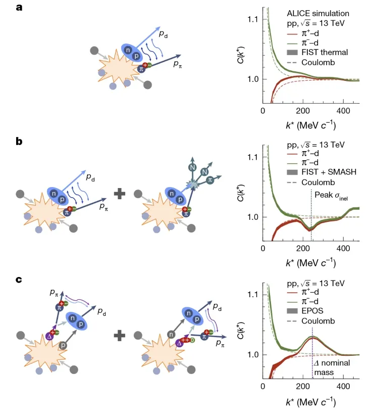 ALICE nuclei