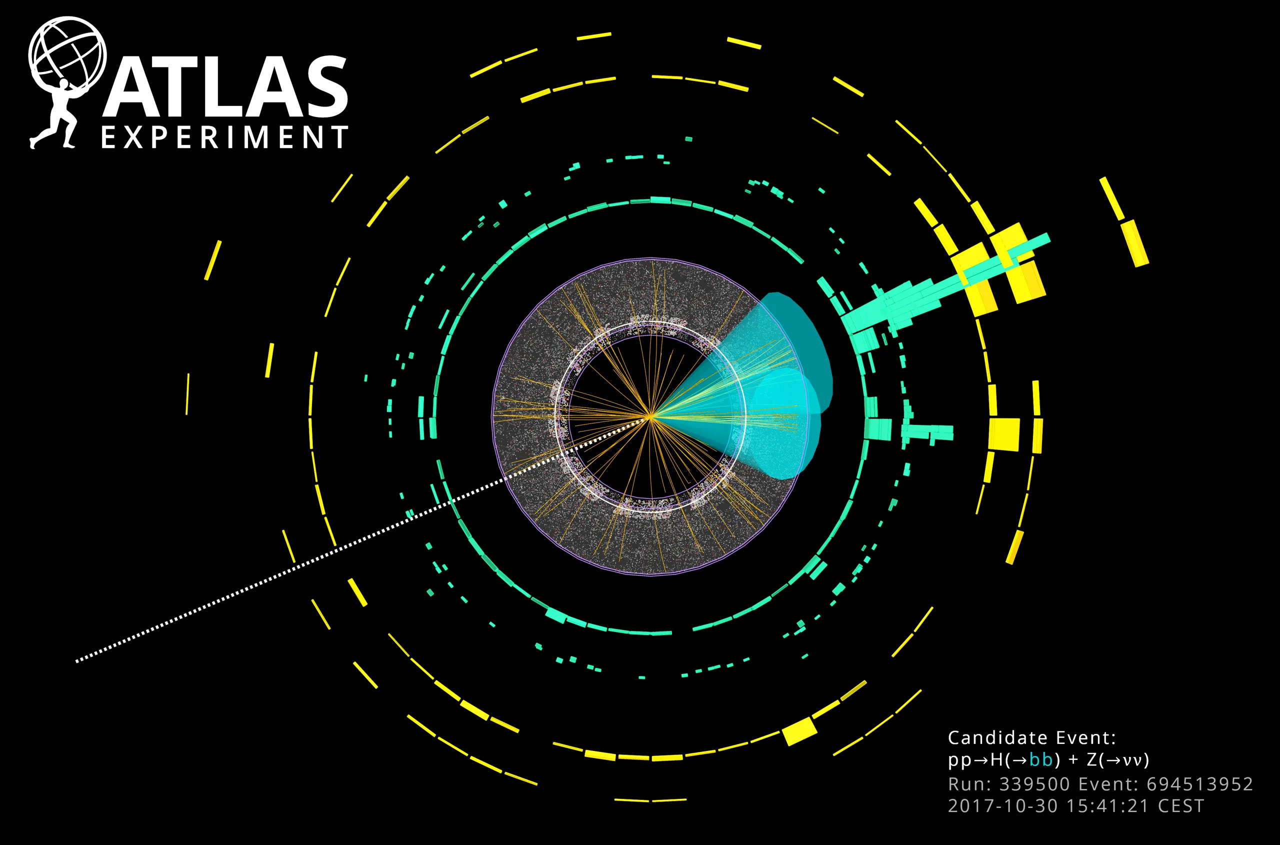 The long hunt for the Higgs boson