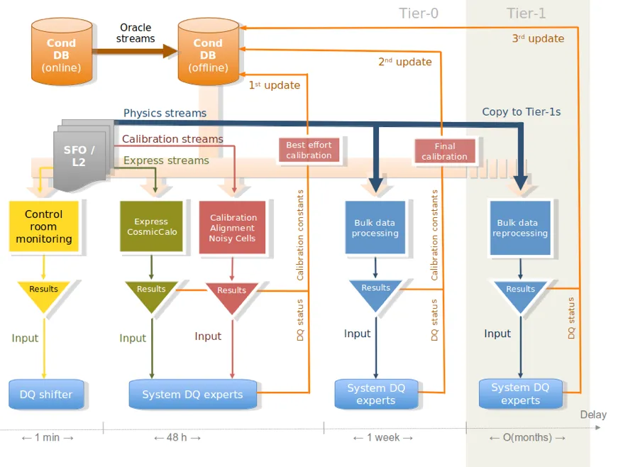 Data Quality Monitoring: An important step towards new physics