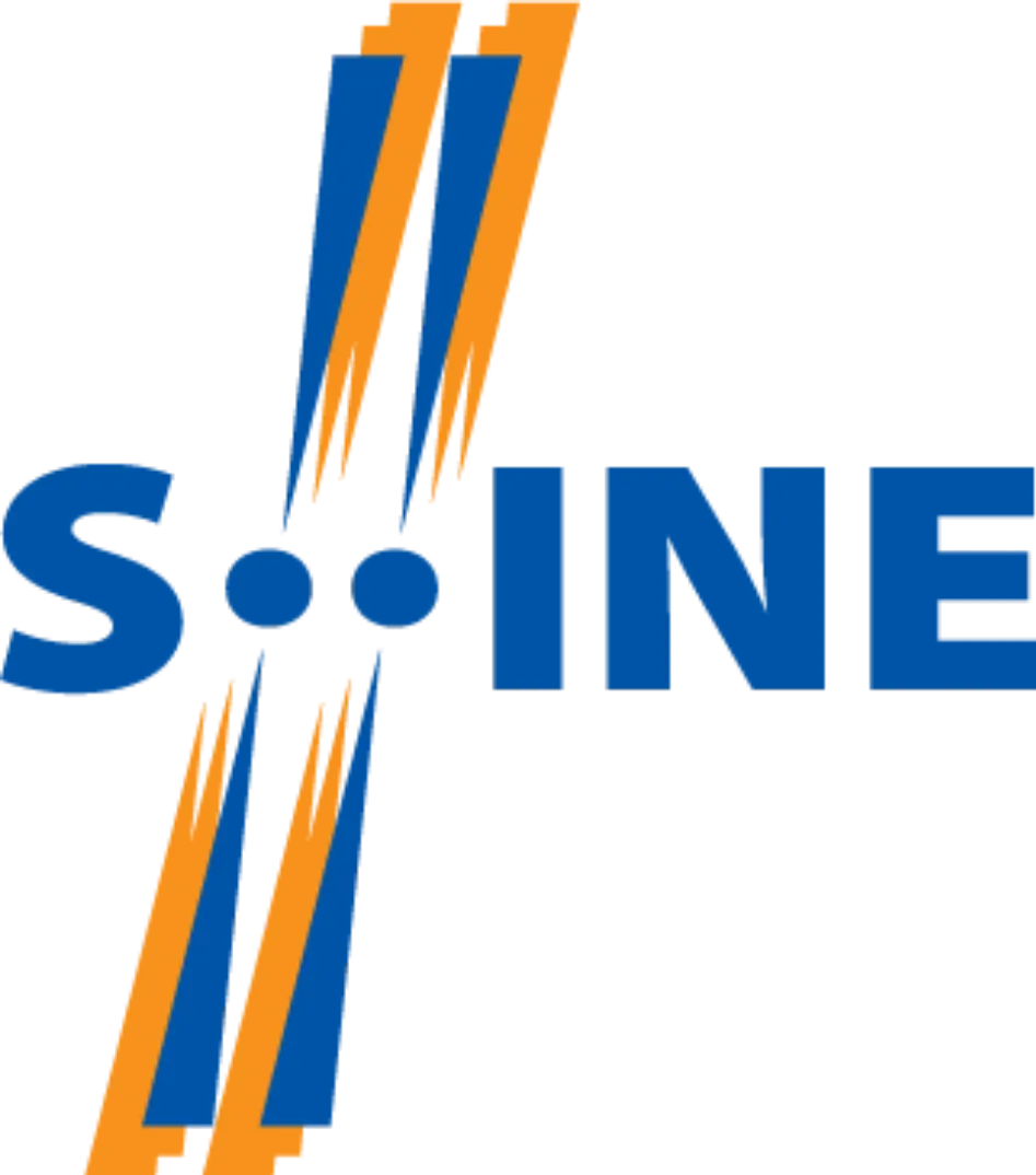 A special Xenon run for NA61/SHINE