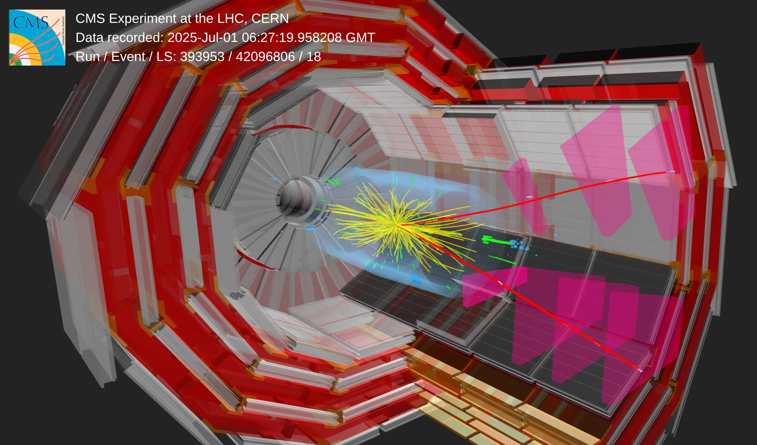 Light ions bring CMS closer to the onset of QGP-like behaviour
